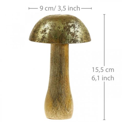 Floristik24 Champignon manguier doré, champignon naturel décoratif Ø9cm H15.5cm 2pcs