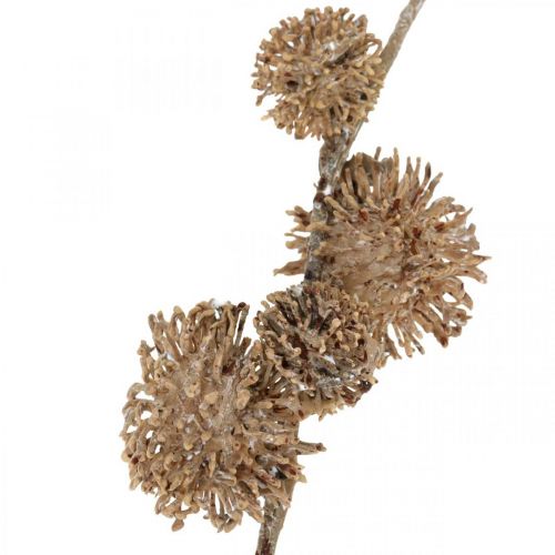 Article Branche Décorative Platane avec Fruits Décoration d&#39;Automne Artificielle Platane Brun L82cm Ø2-4cm