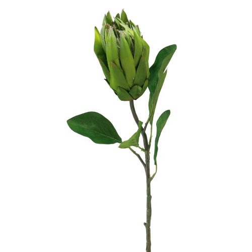 Article Protea Fleur Artificielle Vert Rouge Branche Artificielle L65cm Ø5.5cm