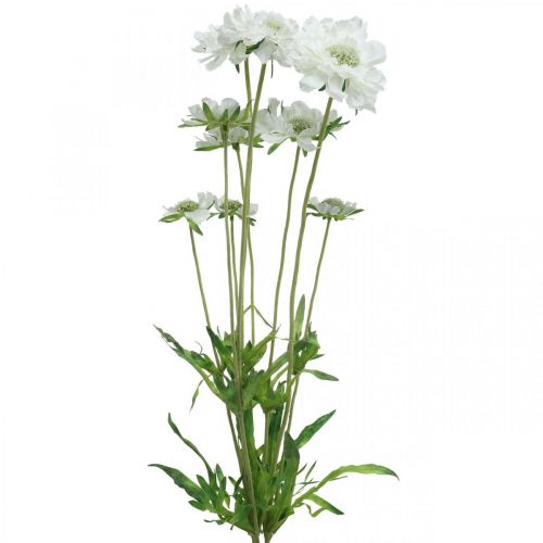 Floristik24 Fleur artificielle Scabiose fleur de jardin blanche H64cm bouquet de 3 pièces