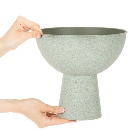 Article Bol décoratif avec support pour plantes, 25 cm