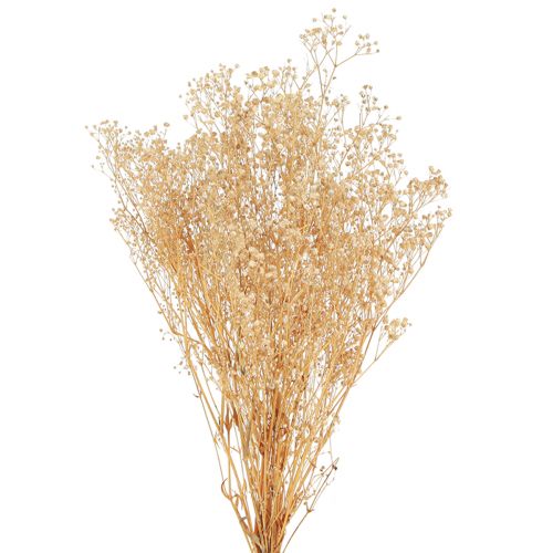 Floristik24 Gypsophile Pensée Gypse Herbe Fleurs blanches 50cm 55g