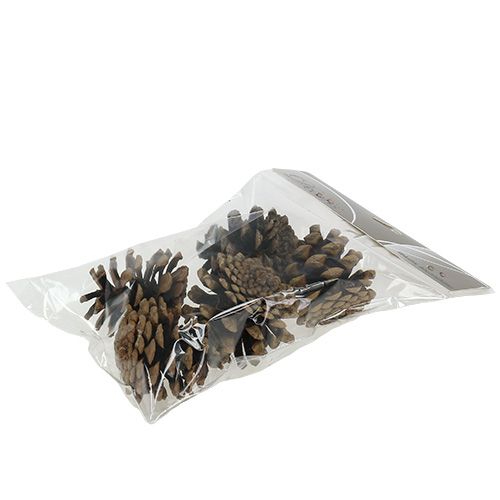 Article Pommes de pin noires 5cm naturel 5pcs