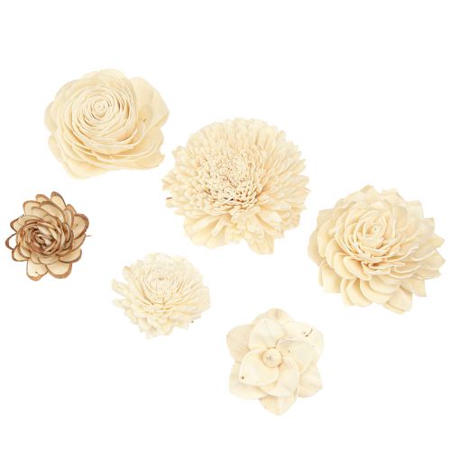 Floristik24 Sola Flowers Wood Fleurs en Bois Décoration Mix Crème 6-11cm 12-15 pcs