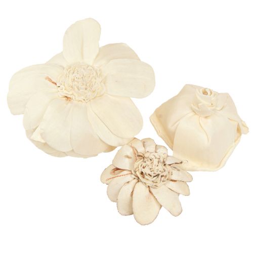 Article Sola Flowers Wood Fleurs en Bois Décoration Mix Crème 6-11cm 12-15 pcs