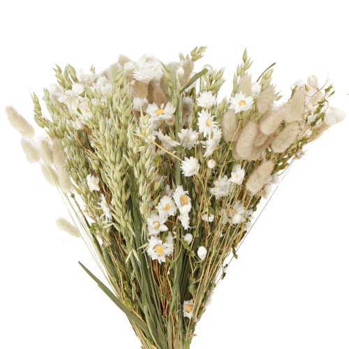 Bouquet de fleurs séchées fleurs paille blanches avoine Lagurus 55cm