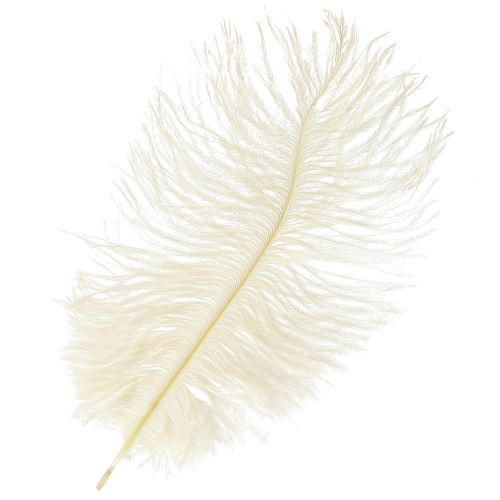 Exquise plume décorative blanc crème plume d&#39;autruche blanche 20-25cm 12pcs.