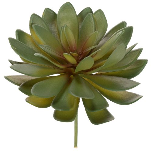 Article Plante grasse artificielle décorative, verte, 18 cm, lot de 3