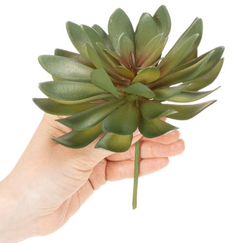 Article Plante grasse artificielle décorative, verte, 18 cm, lot de 3