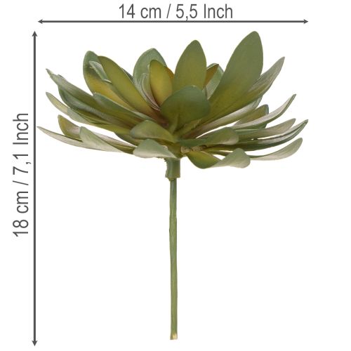 Article Plante grasse artificielle décorative, verte, 18 cm, lot de 3
