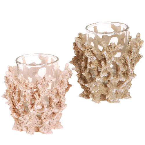 Floristik24 Photophore décoration corail marron crème maritime H9cm 2pcs