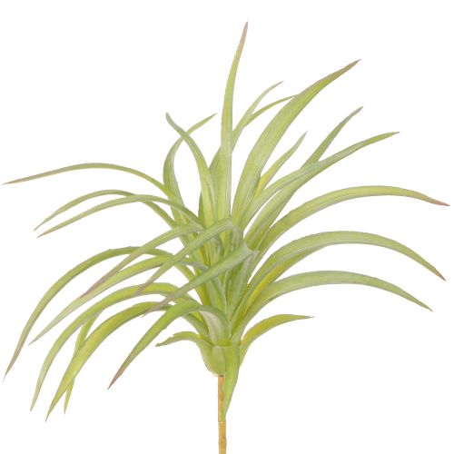 Plantes Artificielles Vertes Tillandsia avec Bâton Ø17cm 3pcs