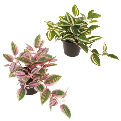 Tradescantia Plante verte artificielle en pot H19,5cm 2pcs