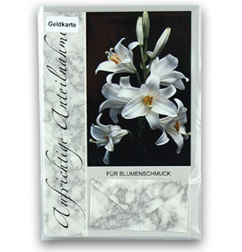 Floristik24 Cartes de condoléances 5pcs