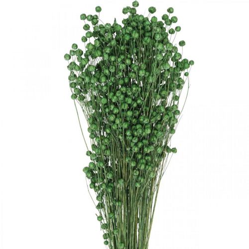 Floristik24 Herbe séchée Lin séché vert H50–55cm 80g