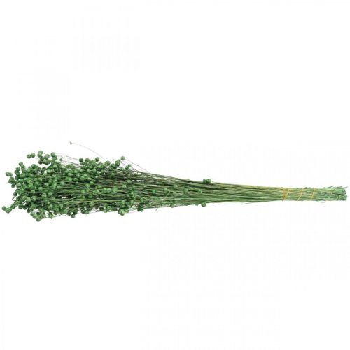 Article Herbe séchée Lin séché vert H50–55cm 80g