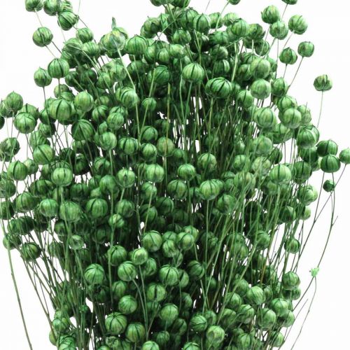 Article Herbe séchée Lin séché vert H50–55cm 80g