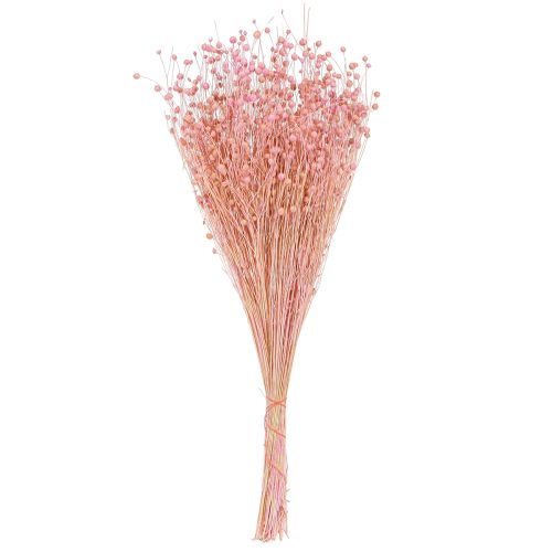 Article Lin séché à l&#39;herbe sèche rose clair H50–55cm 80g