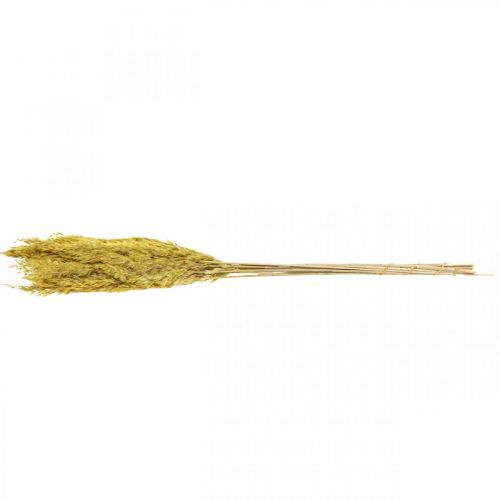 Article Décoration de carex d&#39;herbe sèche jaune séché 70cm 10 pcs