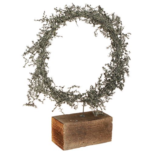 Floristik24 Couronne sèche Asperges couronne décorative rustique socle en bois Ø35cm