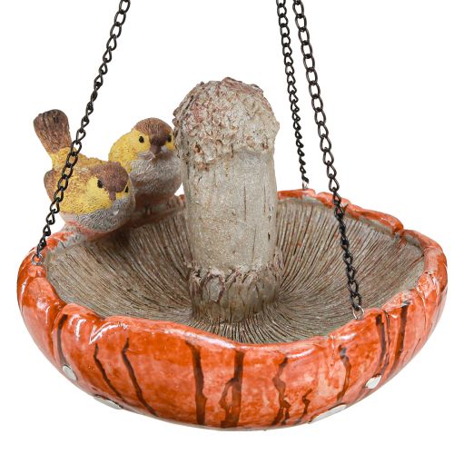 Floristik24 Décoration oiseau automne à suspendre champignon avec 2 oiseaux Ø20cm H15cm