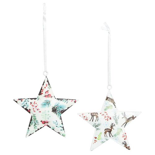 Article Décorations de Noël étoile cerf aiguilles baies Ø8cm 6 pcs