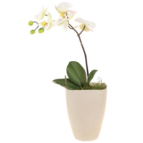 Pot à orchidées pot de fleur plastique beige chiné 13,5x13cm H16,5cm 4pcs