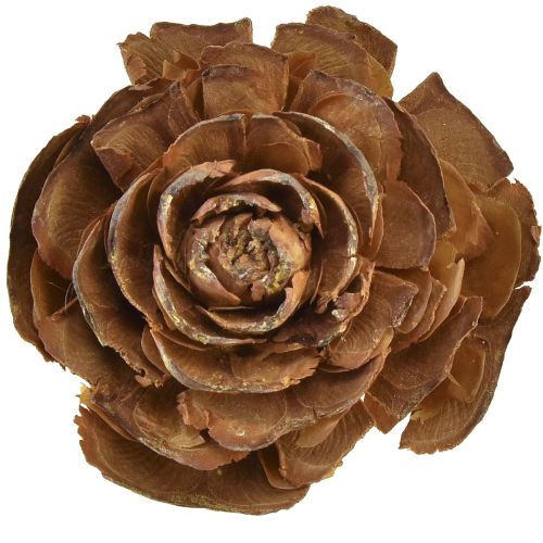 Article Cônes de cèdre coupés en cèdre rose rose 4-6cm naturel 50pcs.