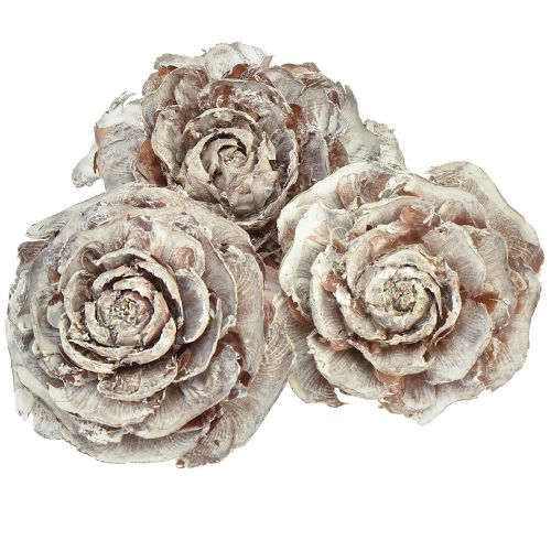 Article Cônes de cèdre coupés en cèdre rose rose 4-6cm blanc/naturel 50pcs