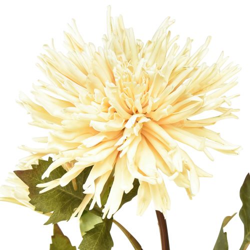 Article Fleur artificielle chrysanthème crème avec 2 fleurs L70cm