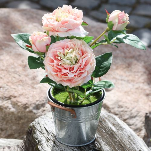 Floristik24 Rose décorative en pot, fleurs romantiques en soie, pivoine rose