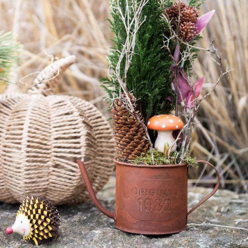 Article Arrosoir décoratif rouille jardinière métal Ø12,5cm H10,5cm