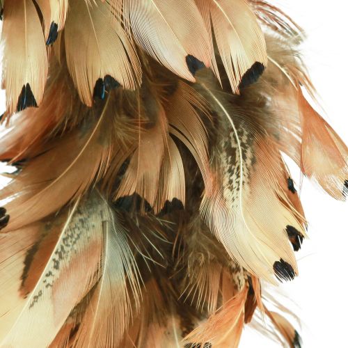Article Couronne de plumes vraies plumes de faisan couronne de plumes marron Ø24cm