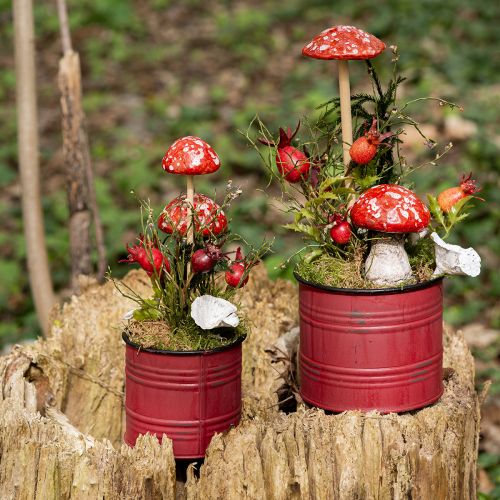 Floristik24 Champignons vénéneux sur bâton, rouges, 5,5 cm, lot de 6 - champignons d&#39;automne décoratifs pour le jardin et la maison