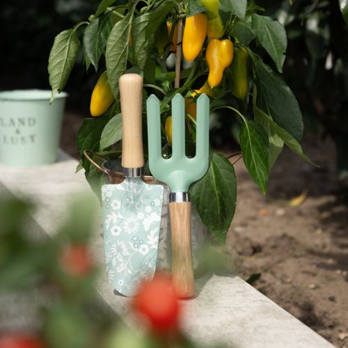 Ensemble d&#39;outils de jardin râteau de jardin pelle de jardin 25/28 cm