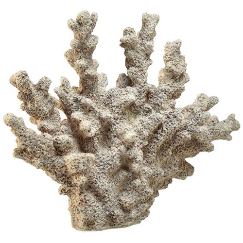 Article Décoration corail détaillée en polyrésine grise - 26 cm - élégance maritime pour votre maison