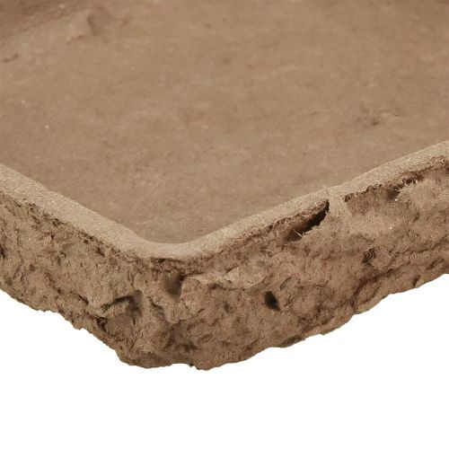 Article Sous-couche Oasis Biolit pour 2 dalles en mousse florale 48×13×2cm 7 pcs