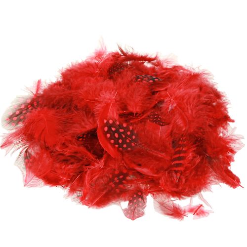 Plumes de pintade Faraona 30g rouge