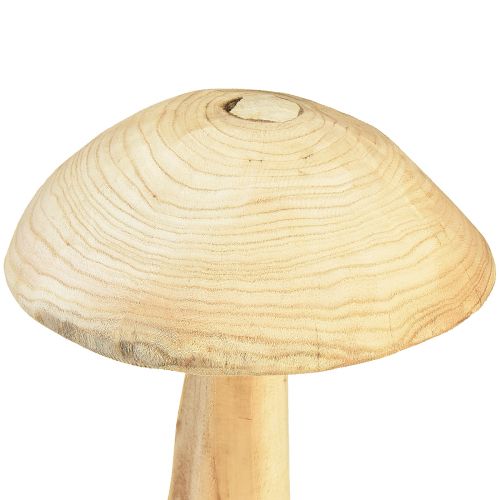 Article Sculpture de champignon réaliste en bois d&#39;orme - Design rustique, 37 cm - Décoration de jardin et d&#39;intérieur élégante
