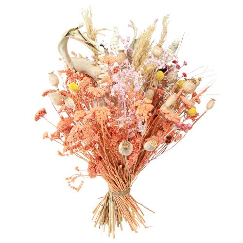 Article Bouquet de fleurs séchées orange abricot bouquet sec 45cm 80g