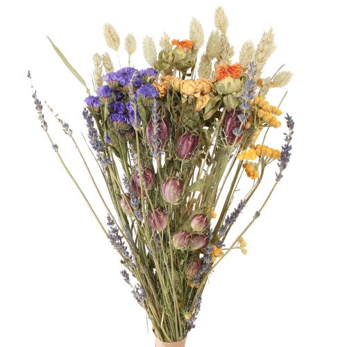 Floristik24 Bouquet de fleurs séchées violet orange grain de lavande de mer 55cm