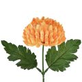 Floristik24 Chrysanthème orange Ø7cm L18cm 1 pc