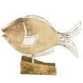 Floristik24 Support en bois poisson décoratif sur racine décoration maritime 27cm