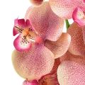 Floristik24 Orchidée Phalaenopsis artificielle 9 fleurs rose vanille 96cm