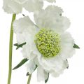 Floristik24 Fleur artificielle Scabiose fleur de jardin blanche H64cm bouquet de 3 pièces