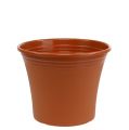 Floristik24 Pot “Irys” plastique terre cuite Ø22cm H18cm, 1pce