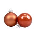 Floristik24 Boules de Noël en verre Boules de sapin de Noël rouge marron Ø6,5cm 24 pcs