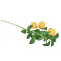 Floristik24 Branche décorative artificielle branche de poire décoration de branche jaune 75cm