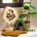 Floristik24 Anneau rustique en bois sur pied - Grain de bois naturel, 54 cm - Sculpture unique pour un cadre de vie élégant