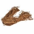 Floristik24 Browny Skin Fibres naturelles exotiques pour travaux manuels 500g